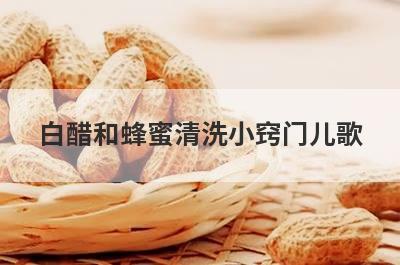 白醋和蜂蜜清洗小窍门儿歌