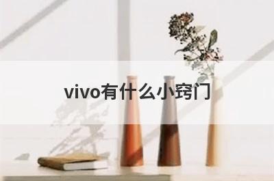 vivo有什么小窍门