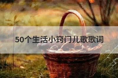 50个生活小窍门儿歌歌词