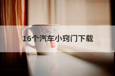 16个汽车小窍门下载