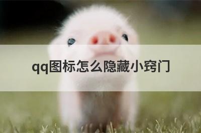qq图标怎么隐藏小窍门(qq电话图标怎么隐藏)
