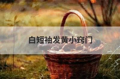 白短袖发黄小窍门