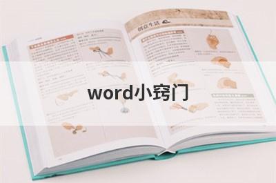 word小窍门