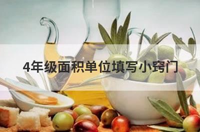 4年级面积单位填写小窍门