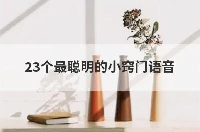 23个最聪明的小窍门语音