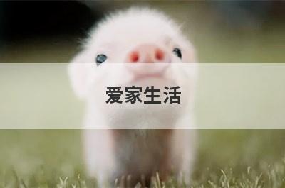 爱家生活 小窍门大全(生活小窍门100大全视频)