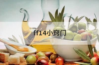ff14小窍门