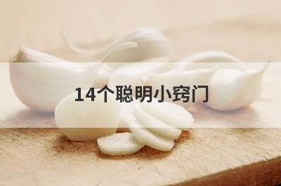 14个聪明小窍门(最聪明的生活小窍门)