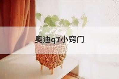 奥迪q7小窍门
