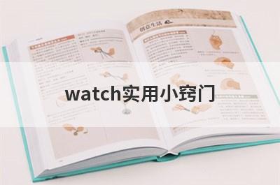 watch实用小窍门