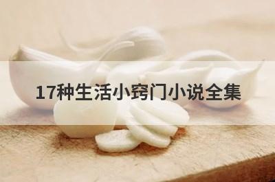 17种生活小窍门小说全集
