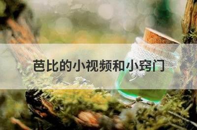芭比的小视频和小窍门