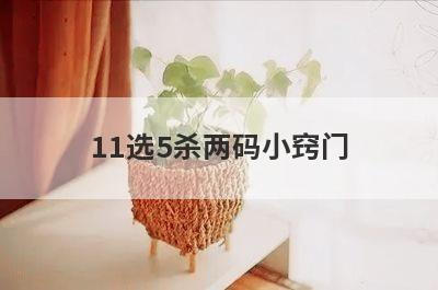 11选5杀两码小窍门