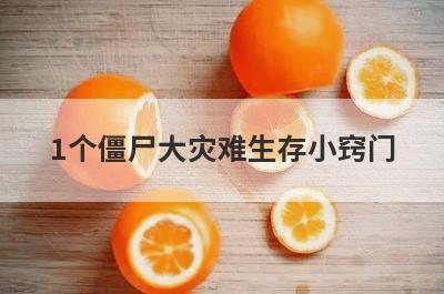 1个僵尸大灾难生存小窍门