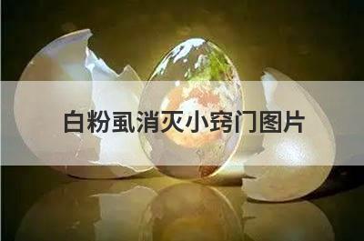 白粉虱消灭小窍门图片