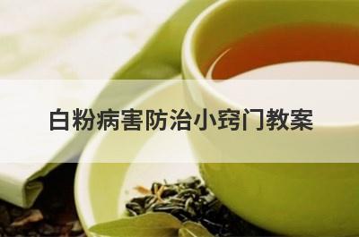 白粉病害防治小窍门教案