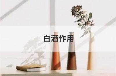 白酒作用