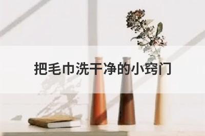 把毛巾洗干净的小窍门