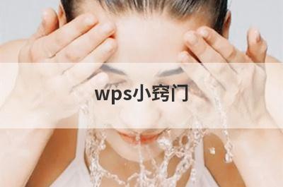 wps小窍门