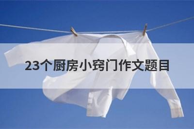 23个厨房小窍门作文题目