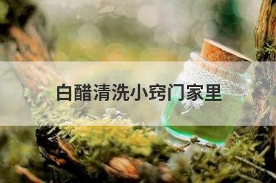 白醋清洗小窍门家里