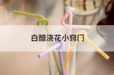 白醋浇花小窍门