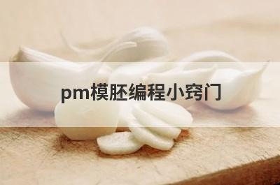 pm模胚编程小窍门