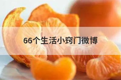66个生活小窍门微博