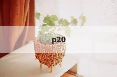 p20 pro小窍门