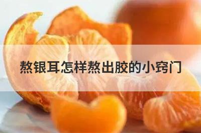 熬银耳怎样熬出胶的小窍门
