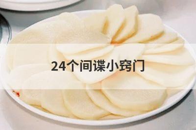 24个间谍小窍门