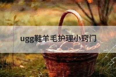 ugg鞋羊毛护理小窍门