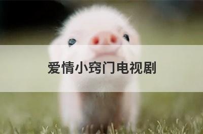 爱情小窍门电视剧