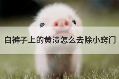 白裤子上的黄渍怎么去除小窍门