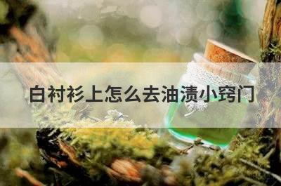 白衬衫上怎么去油渍小窍门