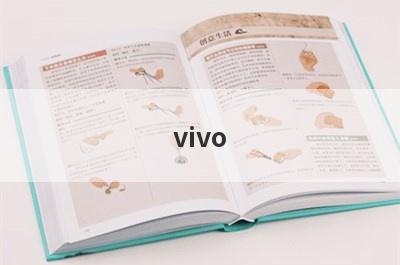vivo y3使用小窍门(vivo图标怎么变小窍门)