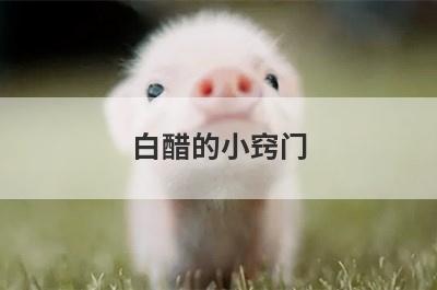 白醋的小窍门