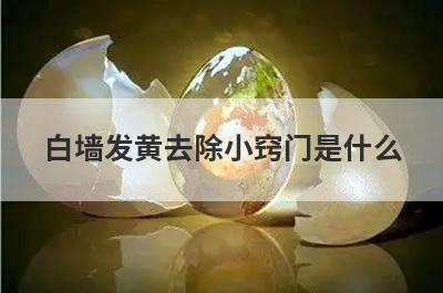 白墙发黄去除小窍门是什么
