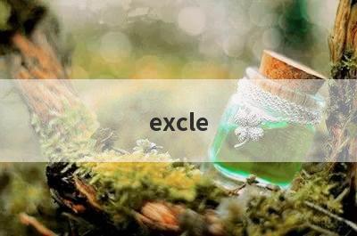 excle