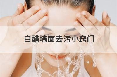 白醋墙面去污小窍门