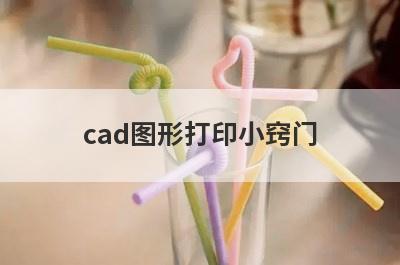 cad图形打印小窍门