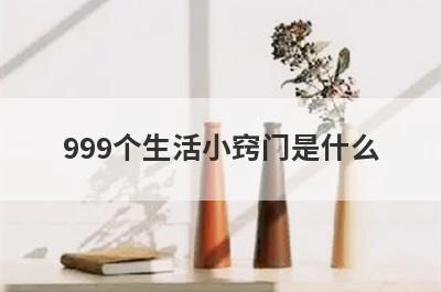 999个生活小窍门是什么