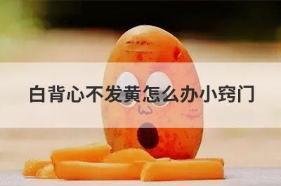 白背心不发黄怎么办小窍门(白背心领口发黄怎么办)