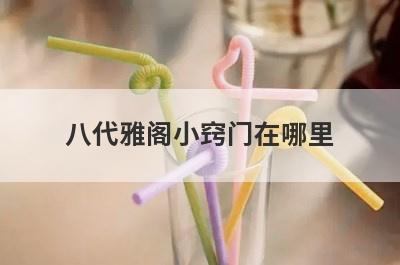 八代雅阁小窍门在哪里