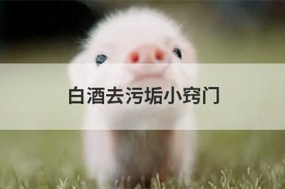 白酒去污垢小窍门