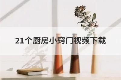 21个厨房小窍门视频下载