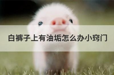 白裤子上有油垢怎么办小窍门