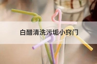 白醋清洗污垢小窍门