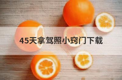 45天拿驾照小窍门下载