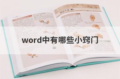 word中有哪些小窍门